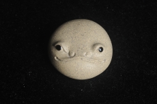 紫砂壶图片:美宠特惠 超可爱的精工芝麻段萌蛤蟆 直径4.5cm 泥料超好 - 美壶网