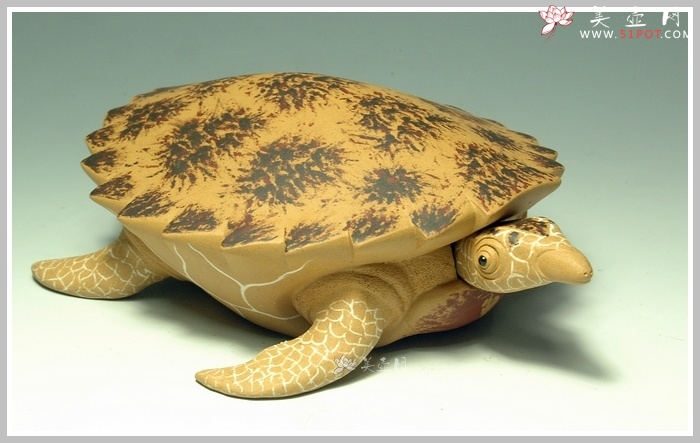 紫砂壶图片：黄金海龟 精细如生 - 美壶网