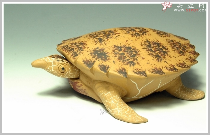 紫砂壶图片：黄金海龟 精细如生 - 美壶网