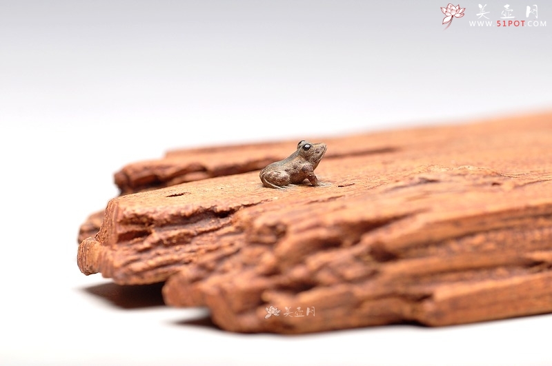 紫砂壶图片：美猴戏蛙镇纸 / 香插  美猴已经长大了~~美猴戏蛙镇纸 / 香插  - 宜兴紫砂壶网