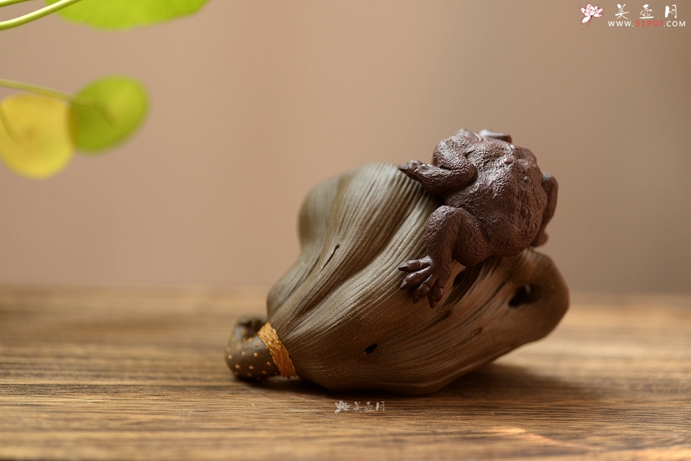 紫砂壶图片：莲蓬金蟾 做工精细 和气招财茶宠 - 美壶网
