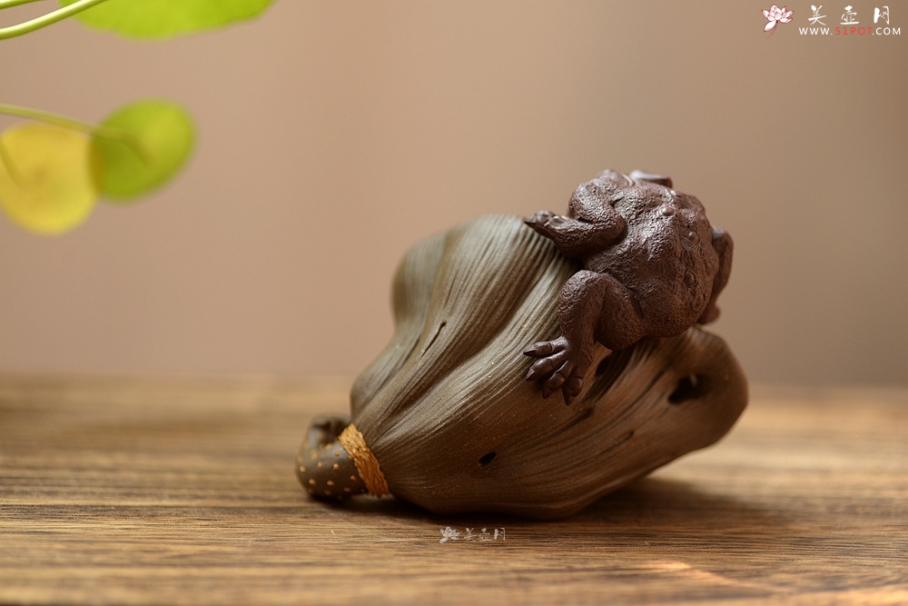 紫砂壶图片：莲蓬金蟾 做工精细 和气招财茶宠 - 宜兴紫砂壶网