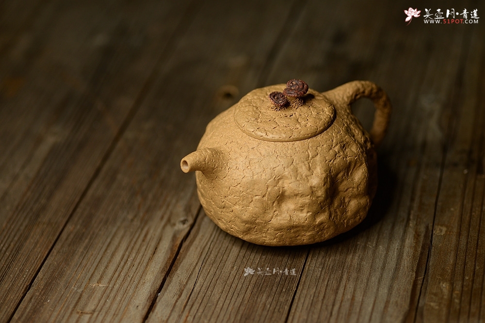 动物造型茶壶图片_动物世界 动物造型茶壶图片