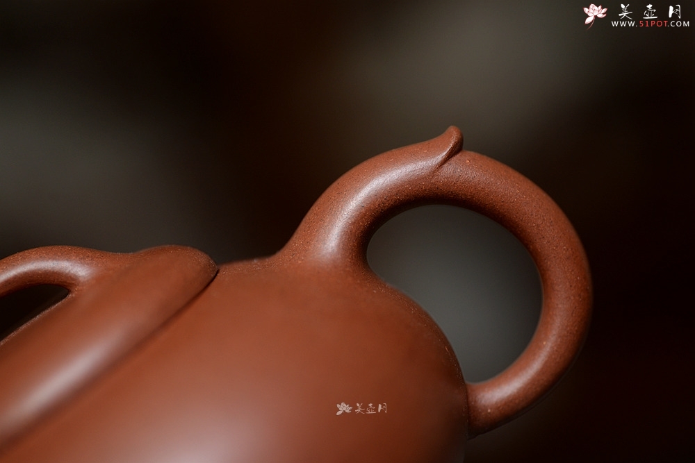 紫砂壶图片：施梦佳全手新作 舒展温润 扁而不僵 过桥扁腹 - 宜兴紫砂壶网