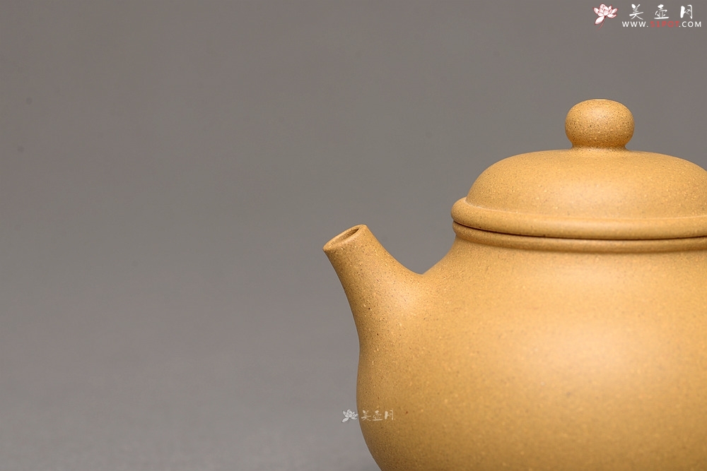 紫砂壶图片：壶中 古朴实用 杀茶利器 容天  - 美壶网