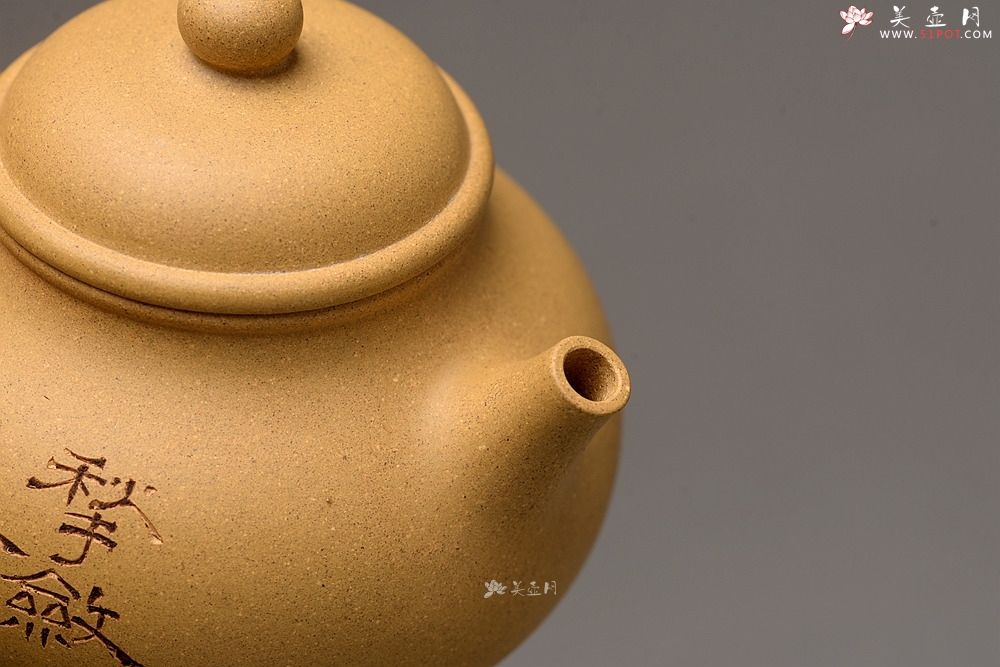 紫砂壶图片：壶中 古朴实用 杀茶利器 容天  - 美壶网