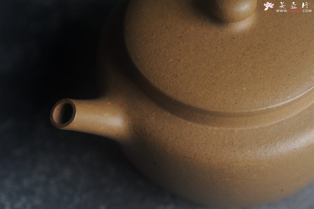 紫砂壶图片：美壶特惠全手工紫砂壶特好段泥桑扁壶 茶壶 茶具 单壶 - 宜兴紫砂壶网