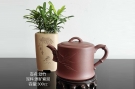 紫砂壶图片：劲竹 - 宜兴紫砂壶网