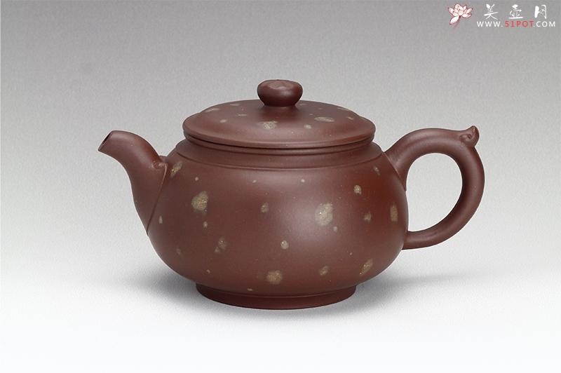 紫砂壶图片：富贵希菊 - 宜兴紫砂壶网