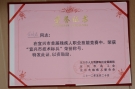 紫砂壶图片：DSC_9072 - 宜兴紫砂壶网