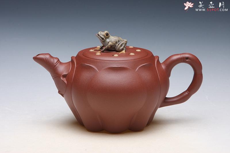 紫砂壶图片：青蛙莲子 - 宜兴紫砂壶网