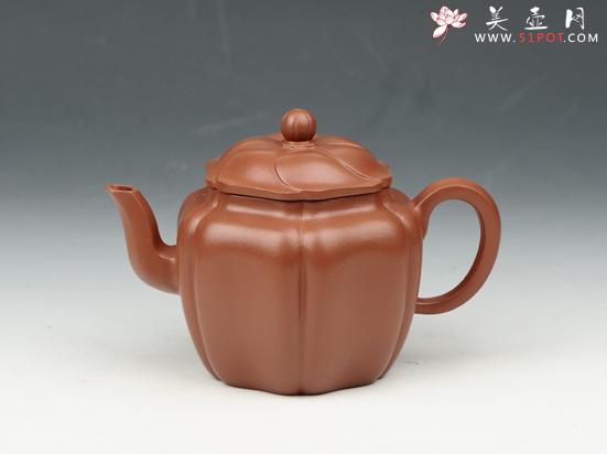 紫砂壶图片：云盖宫灯壶 200cc 原矿朱泥 - 宜兴紫砂壶网