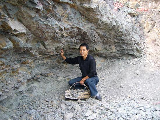 紫砂壶图片：黄龙山 - 宜兴紫砂壶网