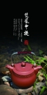 鲍敏霞紫砂壶 美紫砂壶  - 美壶网