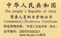 范洪明紫砂壶   - 美壶网