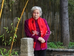 紫砂壶工艺师图片：汪寅仙 - 美壶网