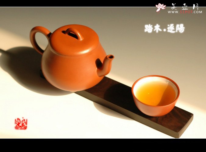 紫砂壶图片：品茶 踏木 逐日 - 美壶网