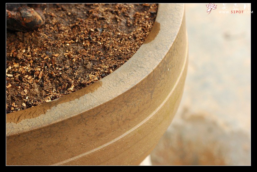 紫砂壶图片：兰香，枯木，好壶欣赏（周定华老师作品大小均孤品） - 美壶网