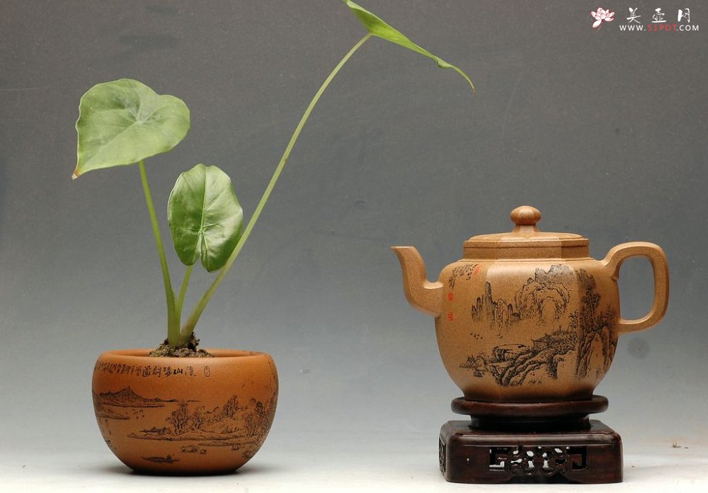 紫砂壶图片：忘情于山水花草之间 - 美壶网