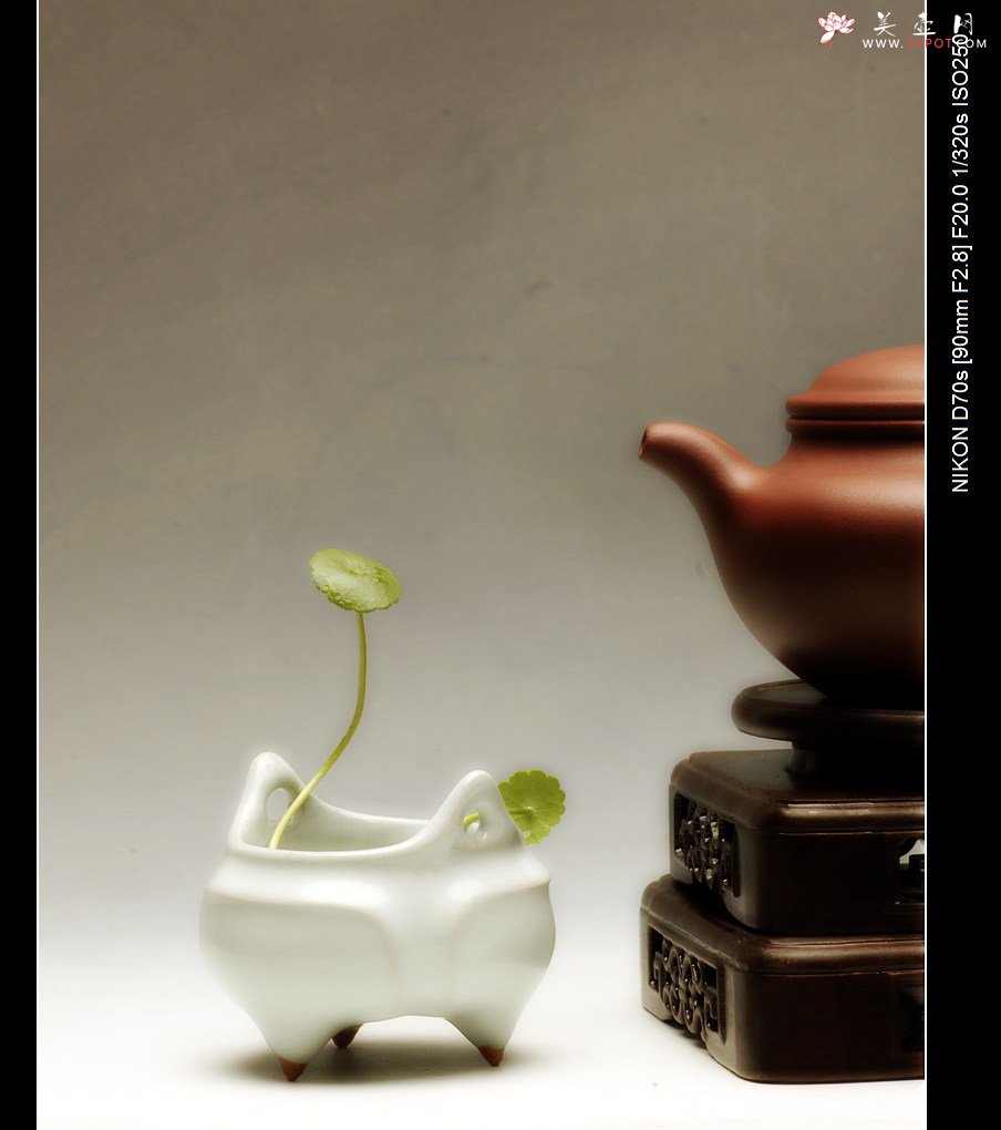 紫砂壶图片：诗人的秋天 - 美壶网