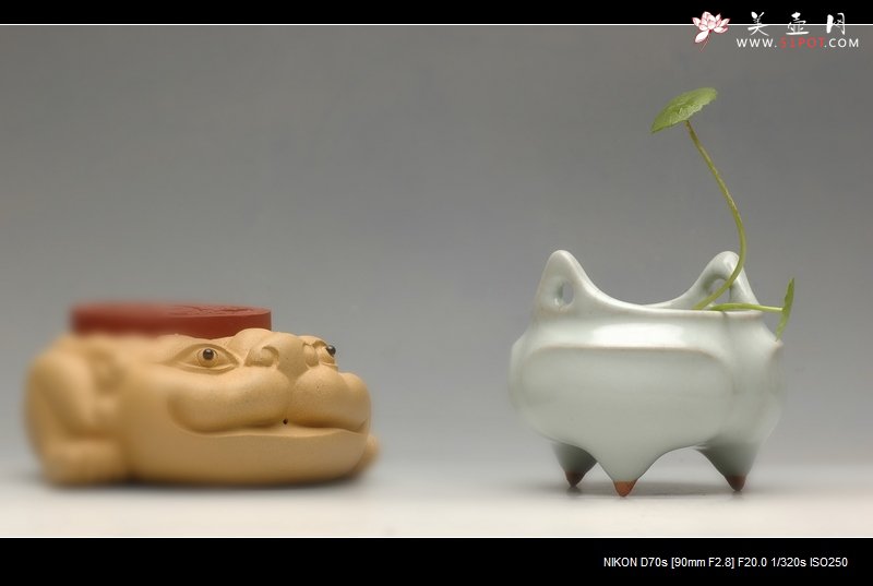 紫砂壶图片：诗人的秋天 - 美壶网