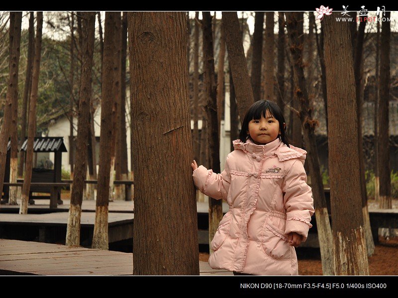 紫砂壶图片：觅  - 美壶网