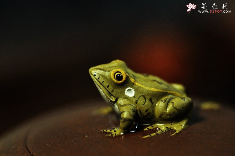 紫砂壶图片：壶润茶香 - 美壶网