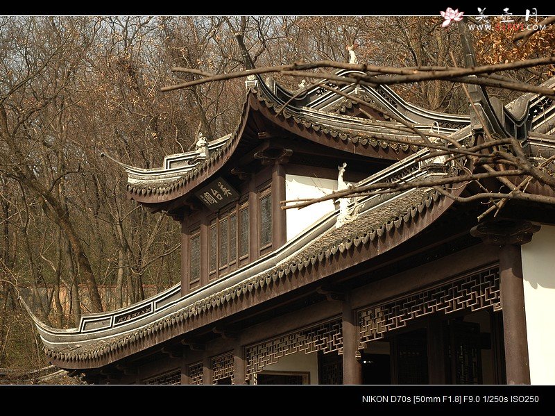 紫砂壶图片：觅  - 美壶网