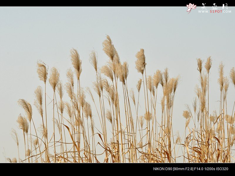 紫砂壶图片：觅  - 美壶网
