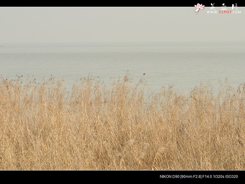 紫砂壶图片：觅  - 美壶网