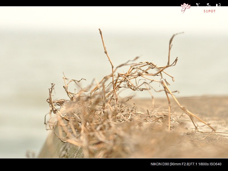 紫砂壶图片：春天是游玩的好时节 - 美壶网