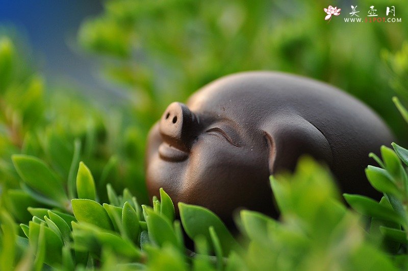 紫砂壶图片：找趣~ - 美壶网