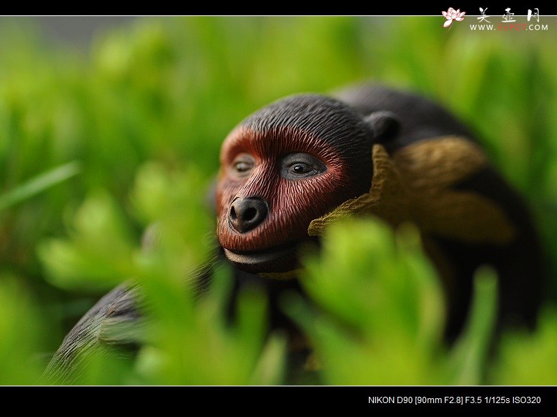 紫砂壶图片：找趣~ - 美壶网