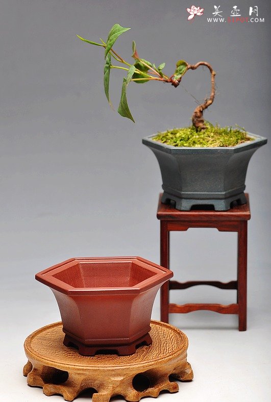 紫砂壶图片：找趣~ - 美壶网