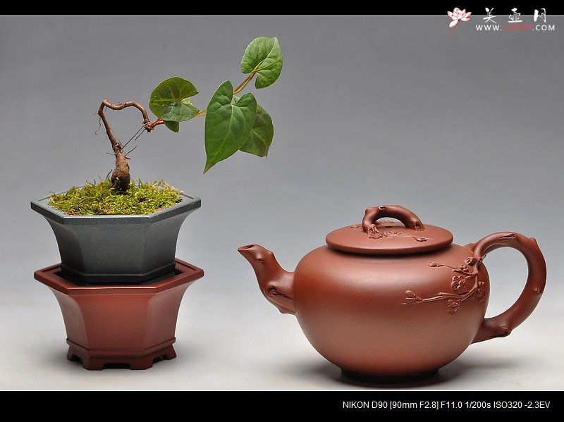 紫砂壶图片：找趣~ - 美壶网