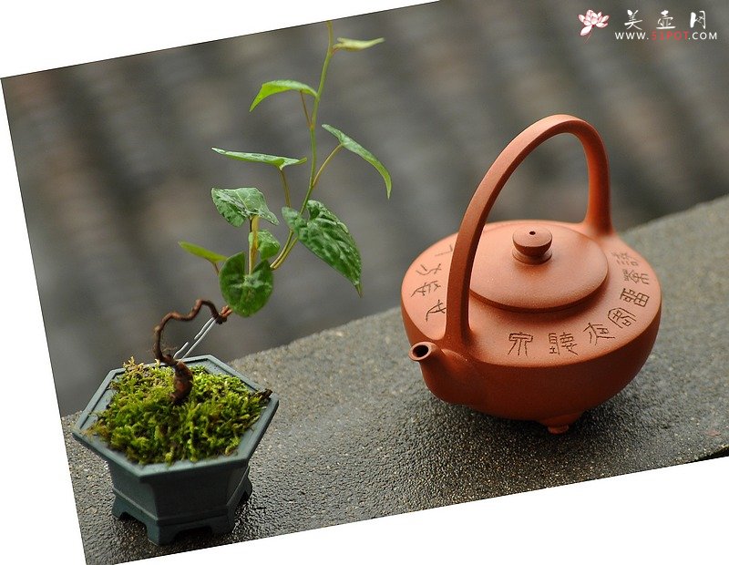 紫砂壶图片：试茶留客夜听泉心忘方入妙~ - 美壶网