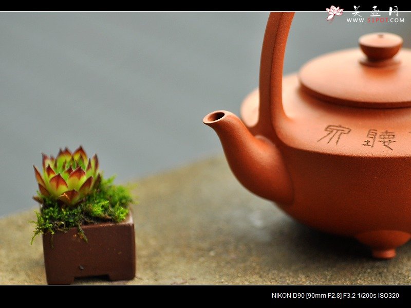 紫砂壶图片：试茶留客夜听泉心忘方入妙~ - 美壶网