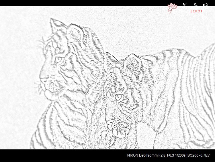 紫砂壶图片：2只老虎跑得快~ - 美壶网