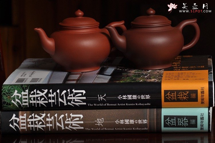 紫砂壶图片：小林国雄之盆栽艺术天地双飞~~ - 美壶网