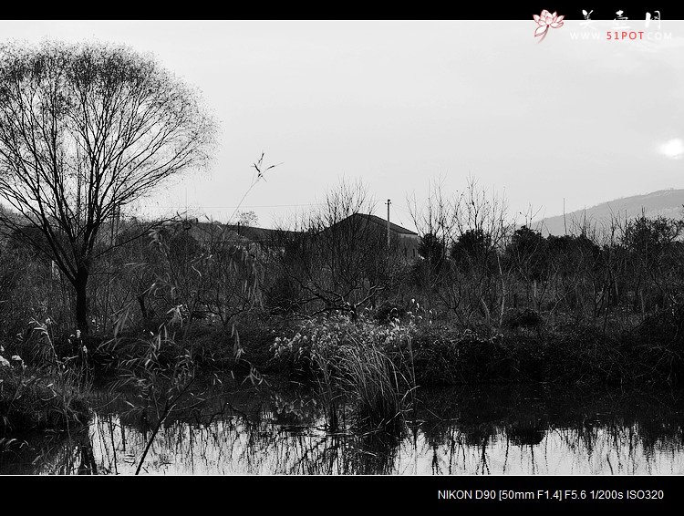 紫砂壶图片：不一样的结局~ - 美壶网