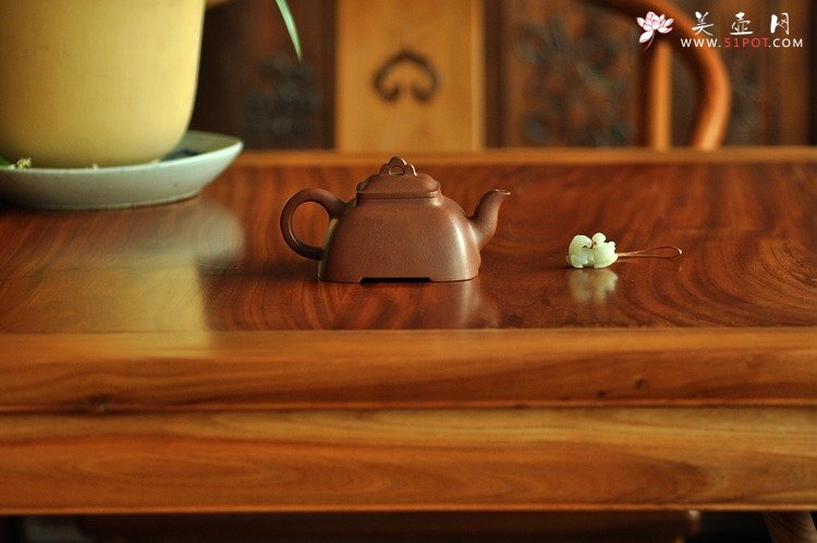 紫砂壶图片：春季随拍~ - 美壶网