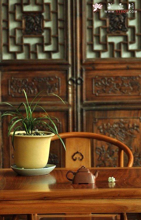 紫砂壶图片：春季随拍~ - 美壶网