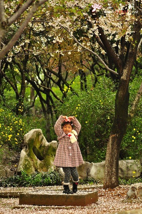 紫砂壶图片：正值一年春游时~ - 美壶网