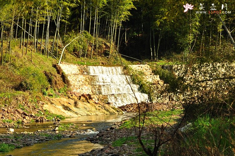 紫砂壶图片：春季随拍~ - 美壶网