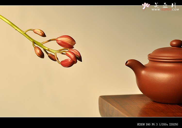 紫砂壶图片：闻香 - 美壶网