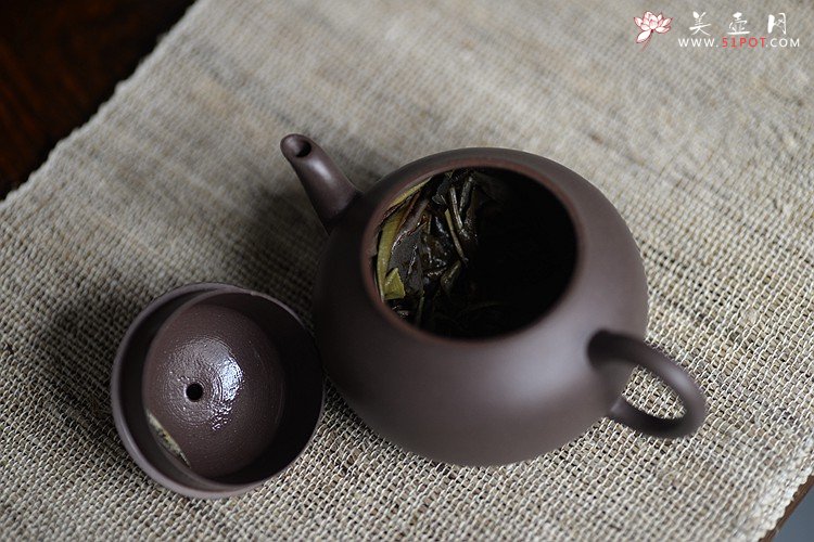 紫砂壶图片：品茗赏壶~ - 美壶网