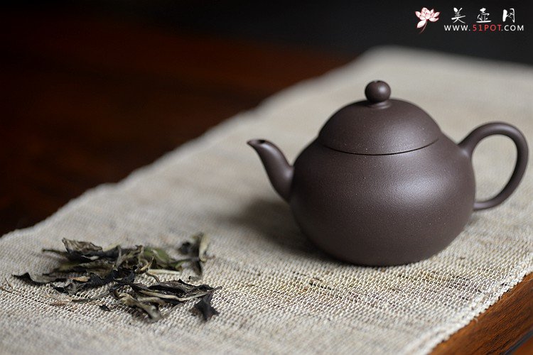 紫砂壶图片：品茗赏壶~ - 美壶网