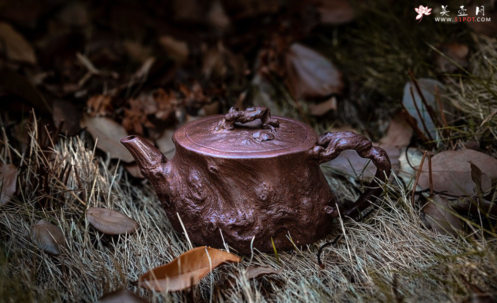 紫砂壶图片：壶友：孙金立紫砂壶《枯木逢春》欣赏 - 美壶网