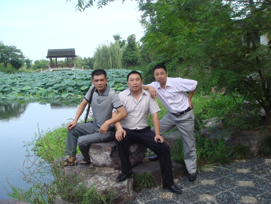 紫砂壶图片：美紫砂壶 - 美壶网