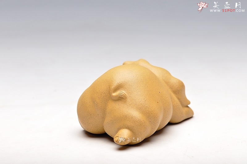 紫砂壶图片：小喜猪 福猪 壬辰年新品 段泥 不一般的甜蜜 - 美壶网
